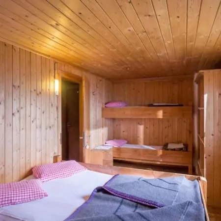 Ferienhaus Almhuette In Kirchberg in Tirol